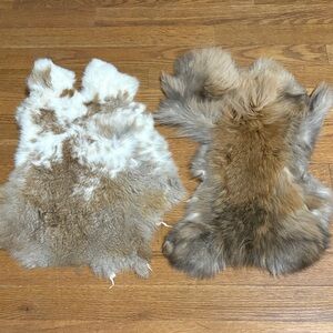 0808 set rabbit pelts